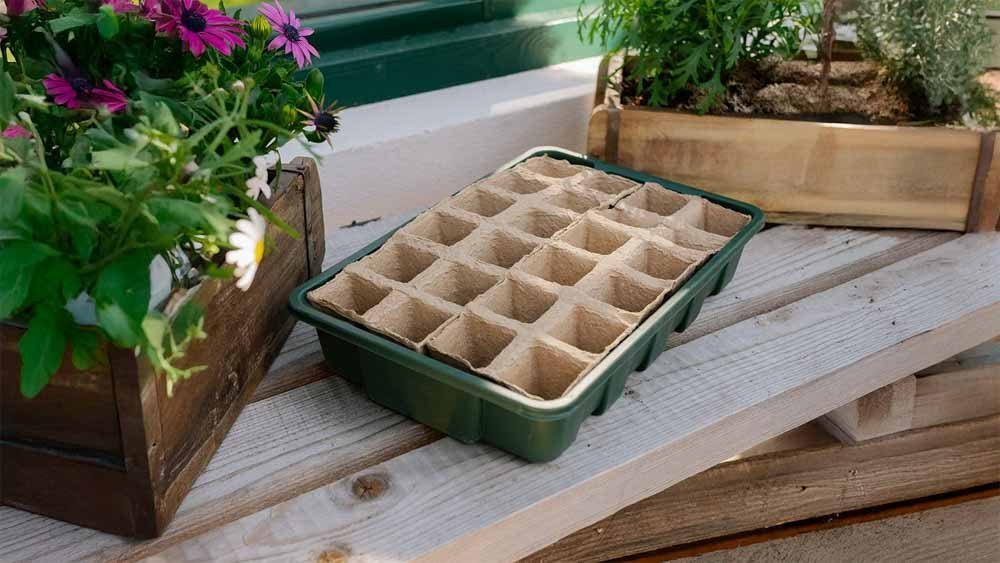 ECOstyle insektsfri - Blanda Frön