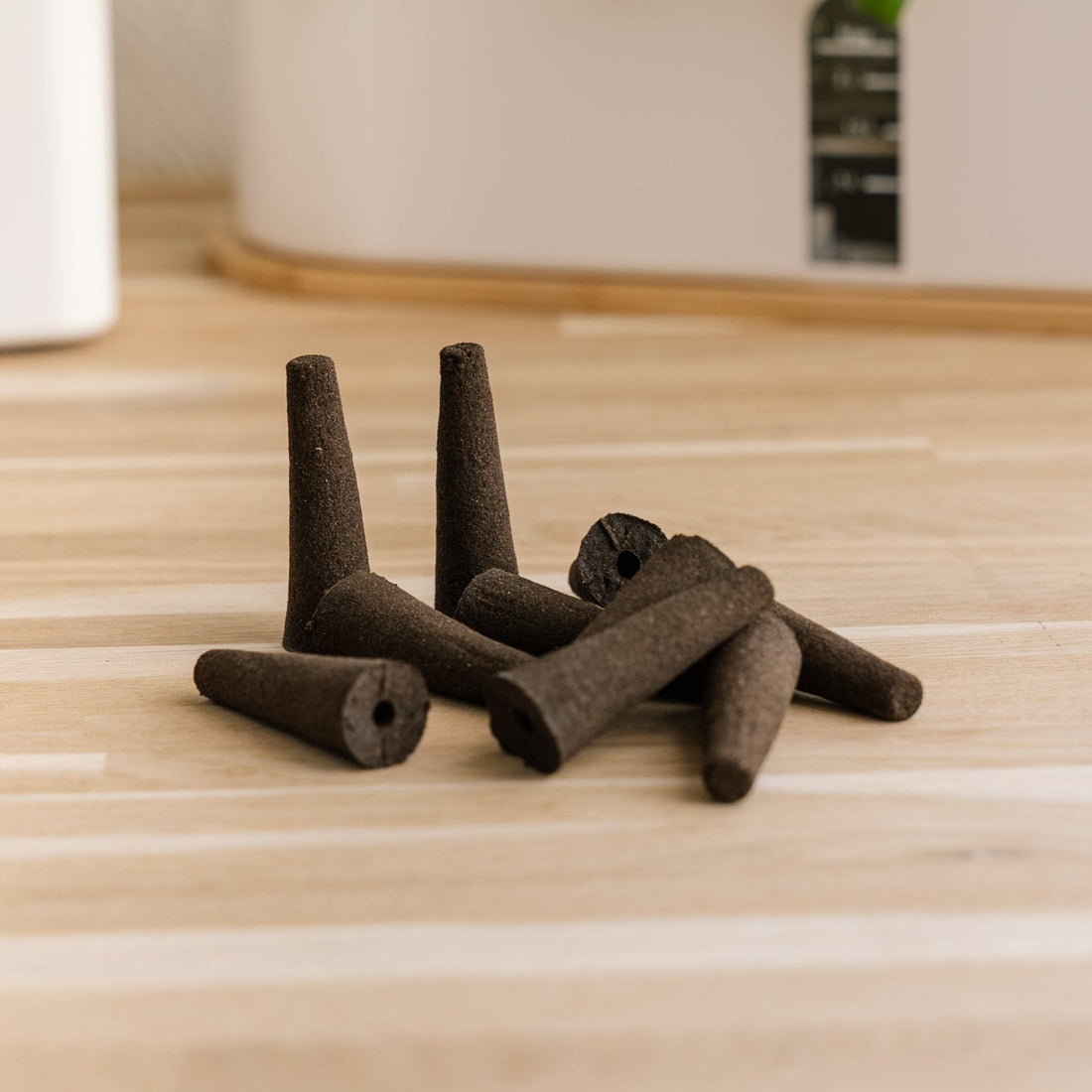 10x Plantesvampe til indendørs køkkenhaver