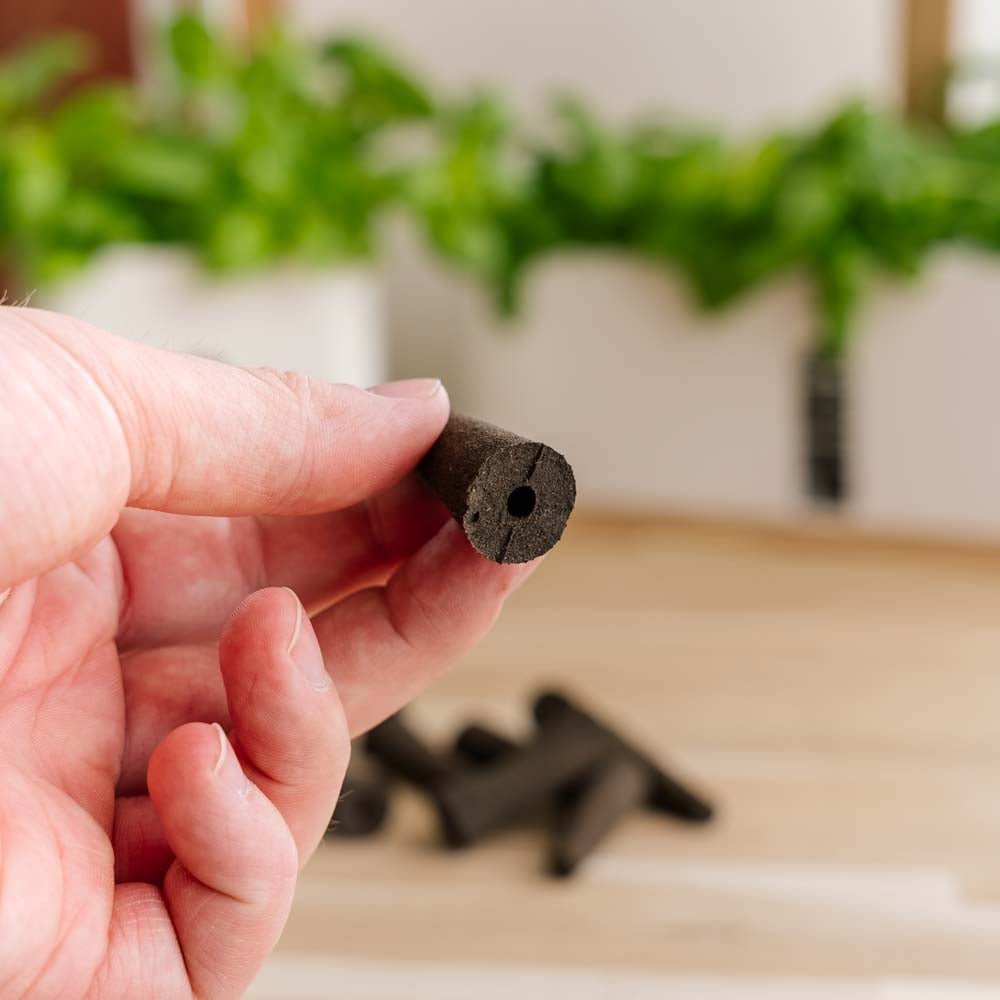 10x Växtsvampar för inomhus köksträdgårdar