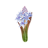 Vårblommor