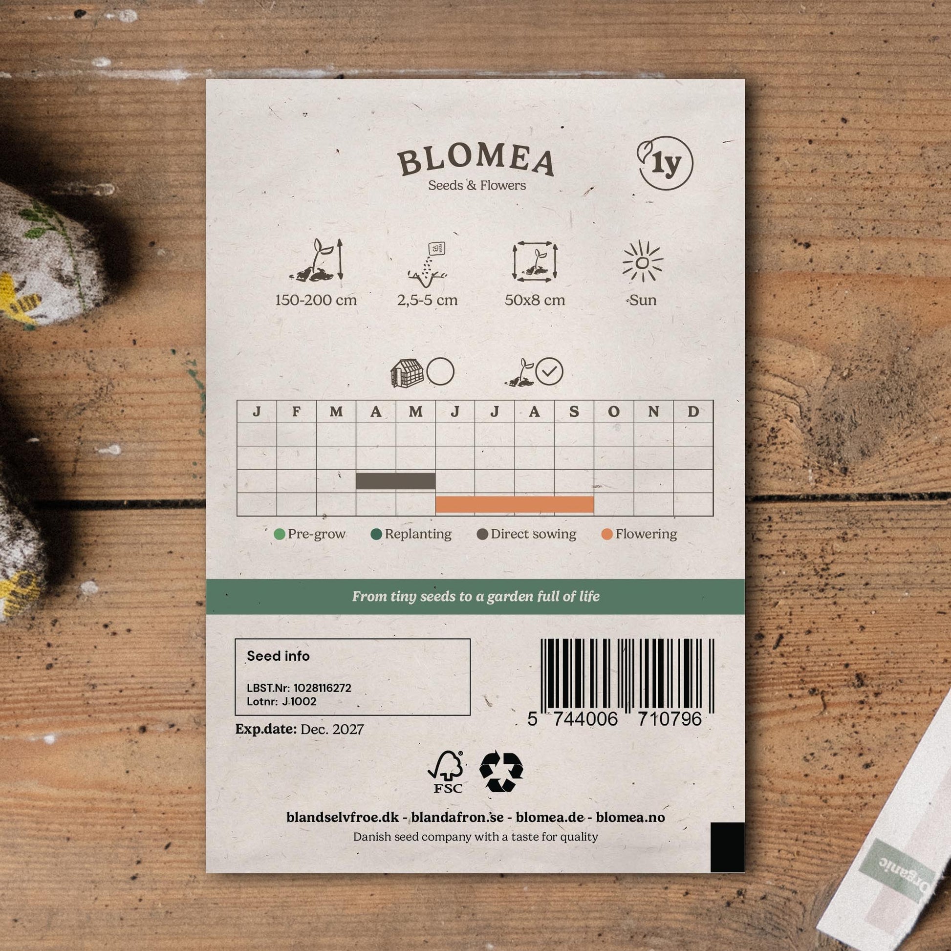 Ærteblomst frø 'Sweet Pea' - 30 Økologiske Frø