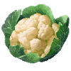 Blomkål