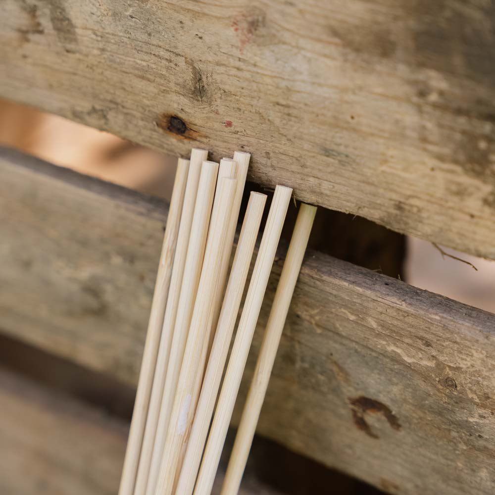 Blomsterpinde. H30 cm 10 stk./bdt.