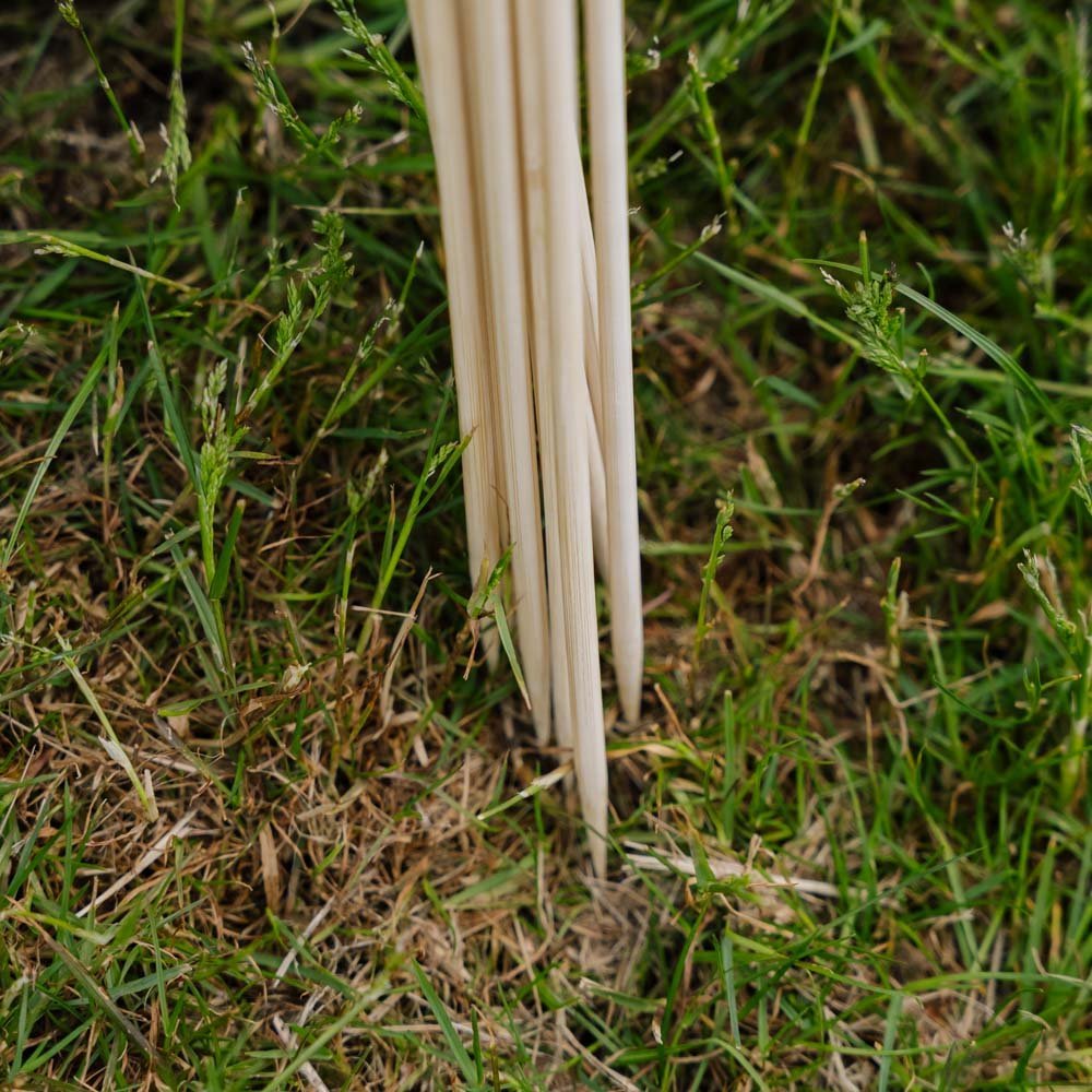 Blompinnar. H50 cm 10 st./bunt.