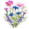 Blomfröer