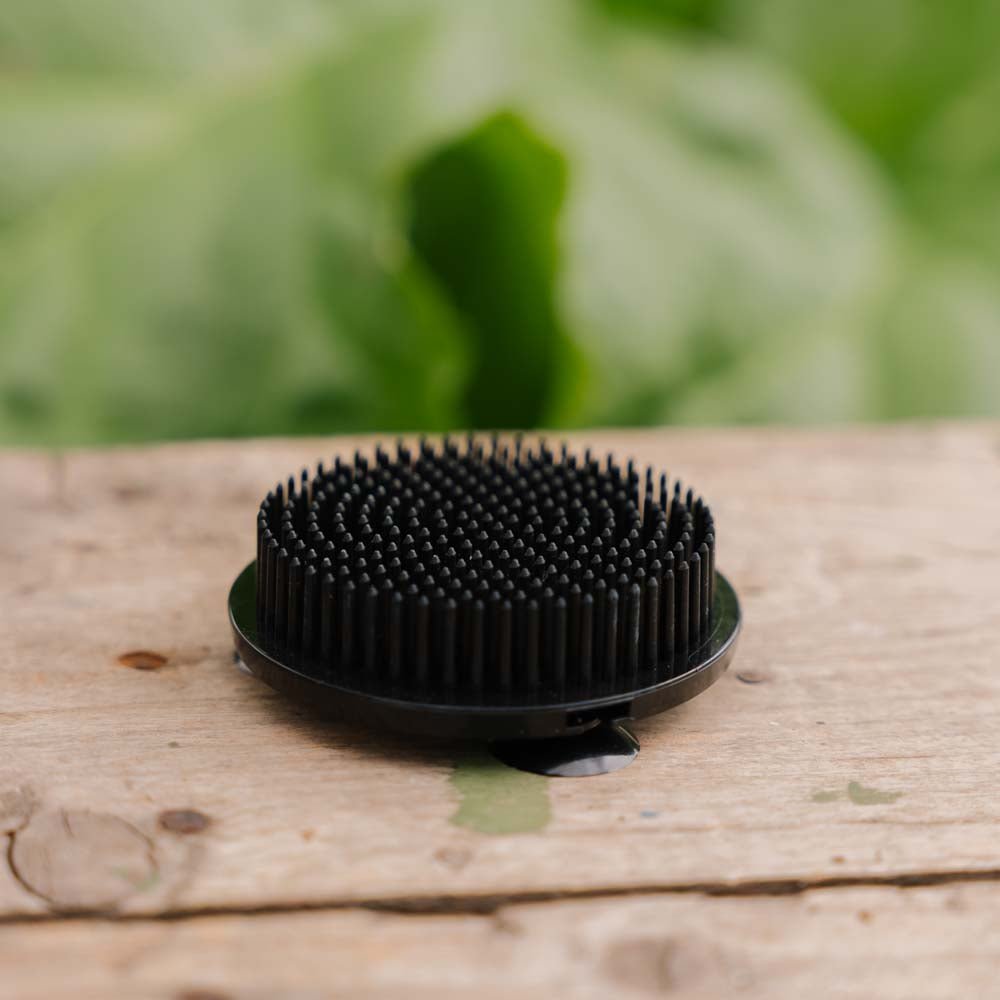 Blomsterhållare, svart (plast), Ø: 6,9 cm