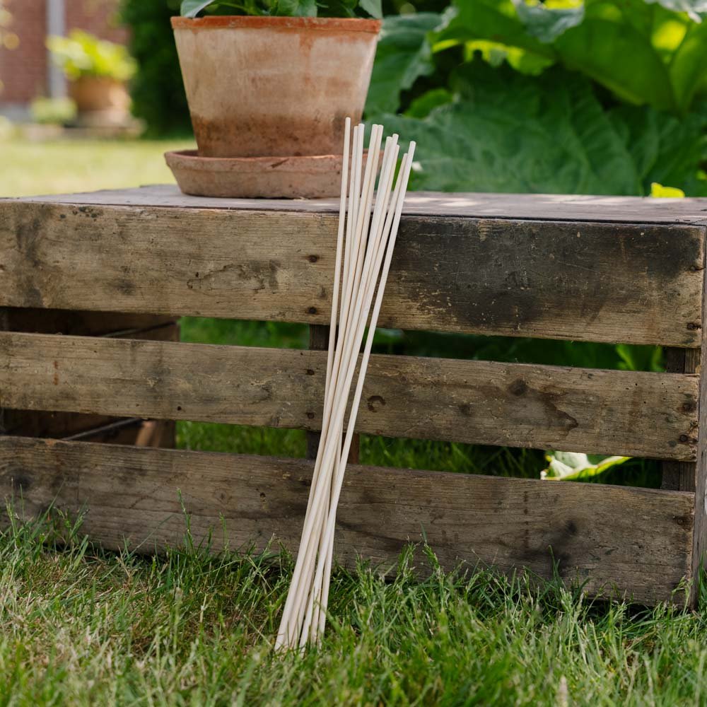 Blomsterpinde. H50 cm 10 stk./bdt.