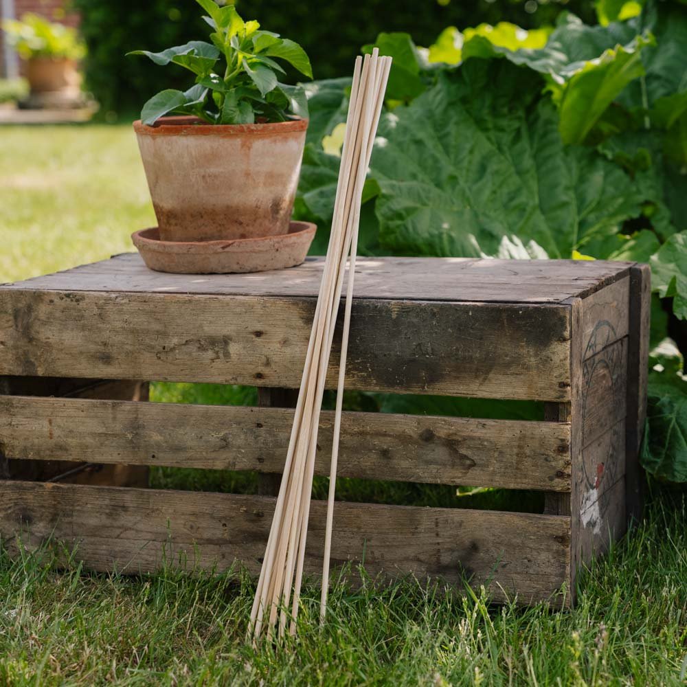 Blomsterpinde. H70 cm 10 stk./bdt.