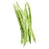 Grönsaksfrön