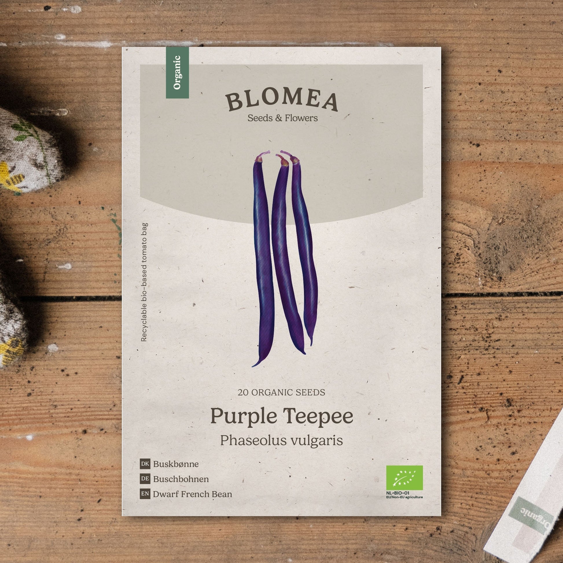 Brytböna frö 'Purple Teepee' - 20 Ekologiska Frön
