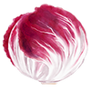 Grönsaksfrön