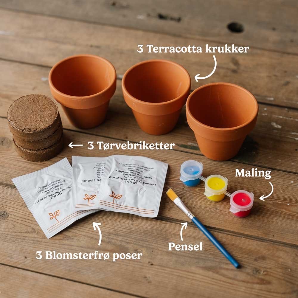 Den kreative blomsterpakke