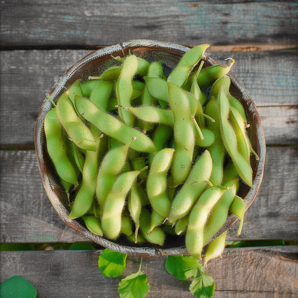 Edamame frön 'Chiba Green' - 5 Ekologiska Frön