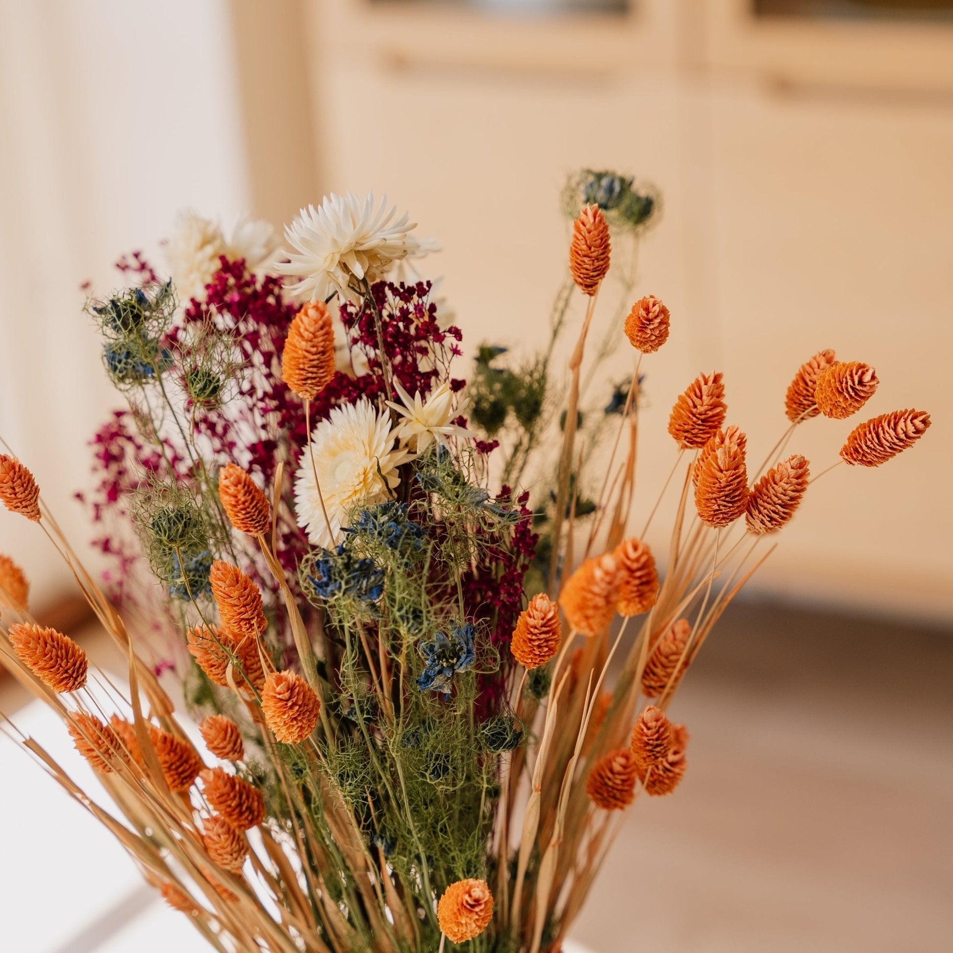 Evighetsbukett, Glimt, H: 50 cm