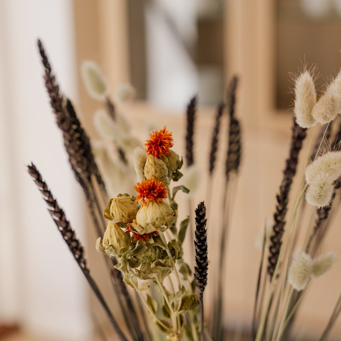 Evighetsbukett, Ringblomma, H: 55 cm