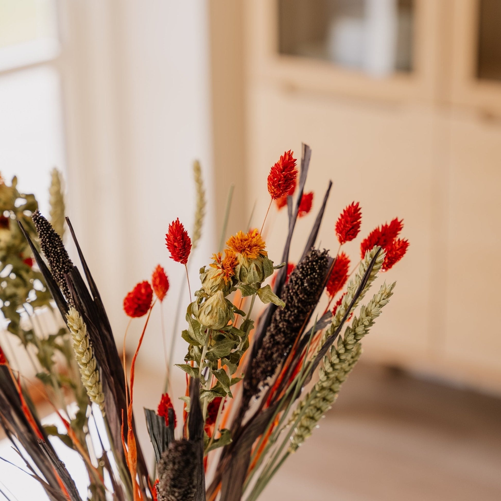 Evighetsbukett, Savann, H: 50 cm