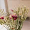 Evighetsbukett, Vildmark, H: 50 cm