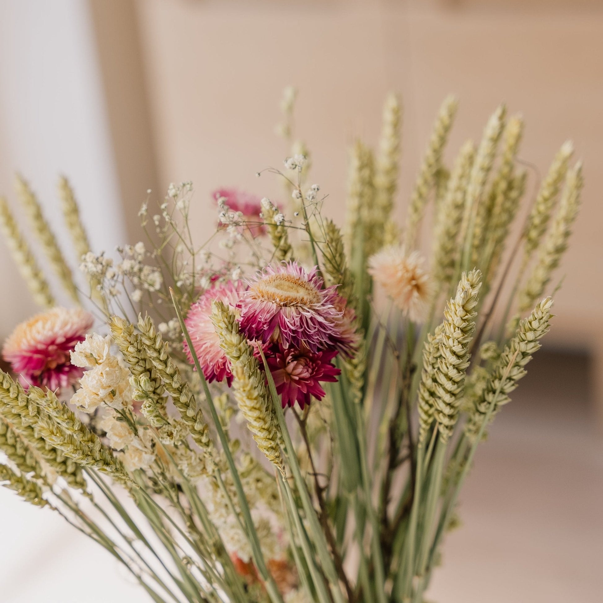 Evighetsbukett, Vildmark, H: 50 cm