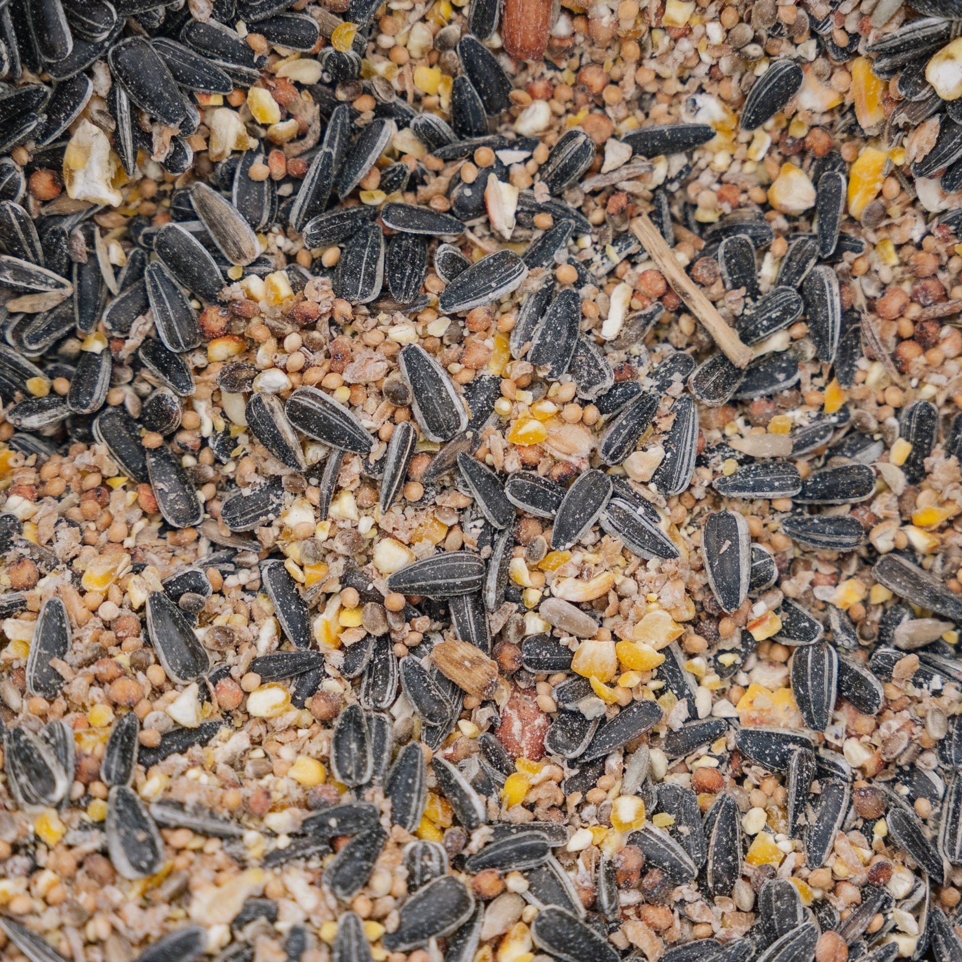 Fågelfoder, All Year de Luxe mix, 5 L