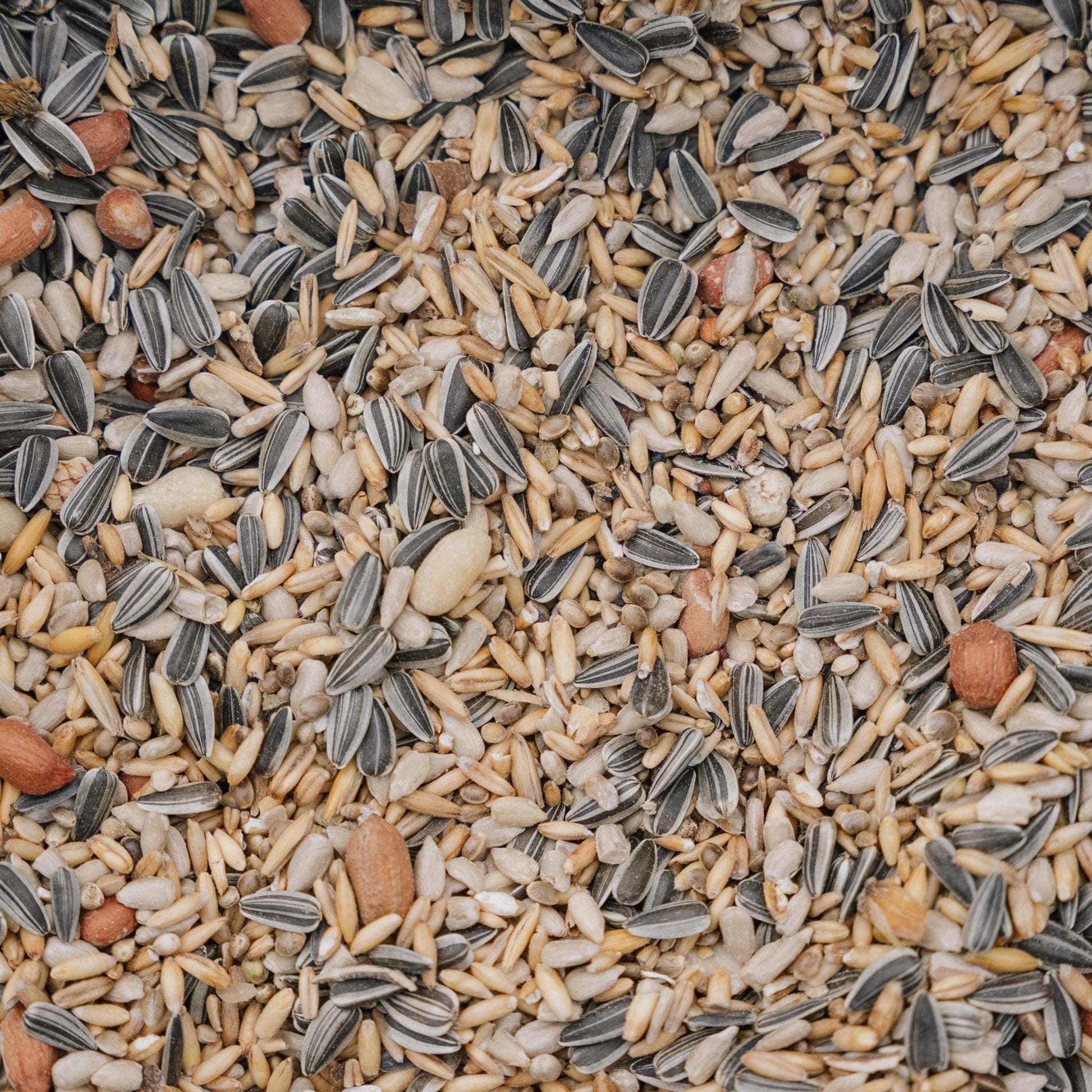 Fågelfoder, Energy de Luxe mix, 5 L