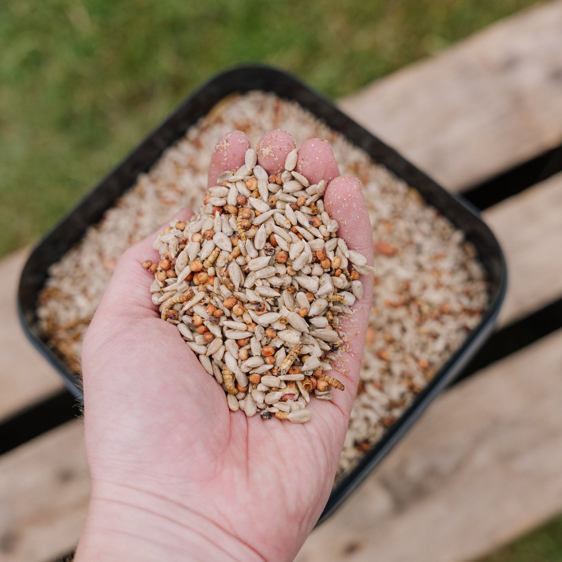 Fågelfoder, Feast de Luxe, 5 L