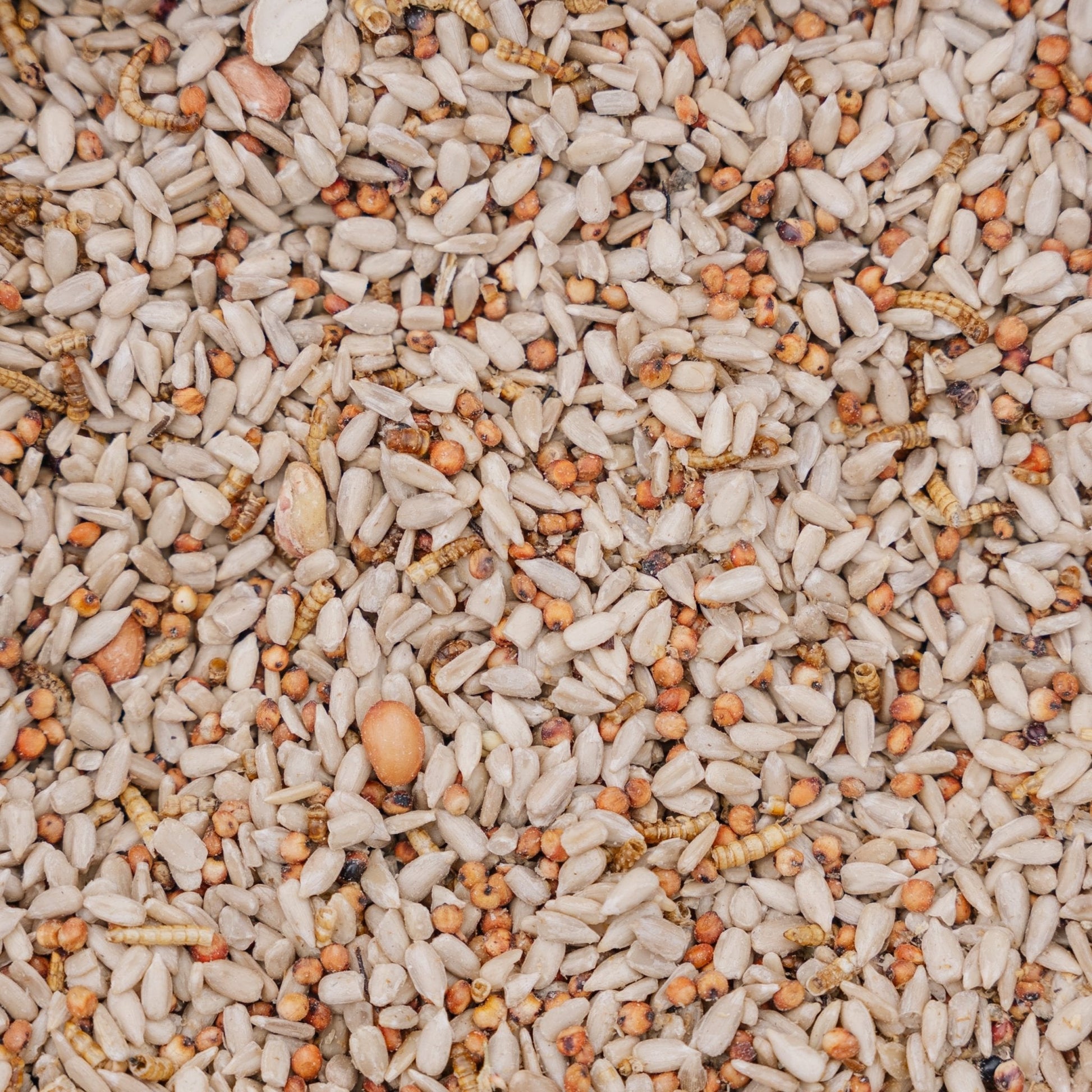 Fågelfoder, Feast de Luxe, 5 L