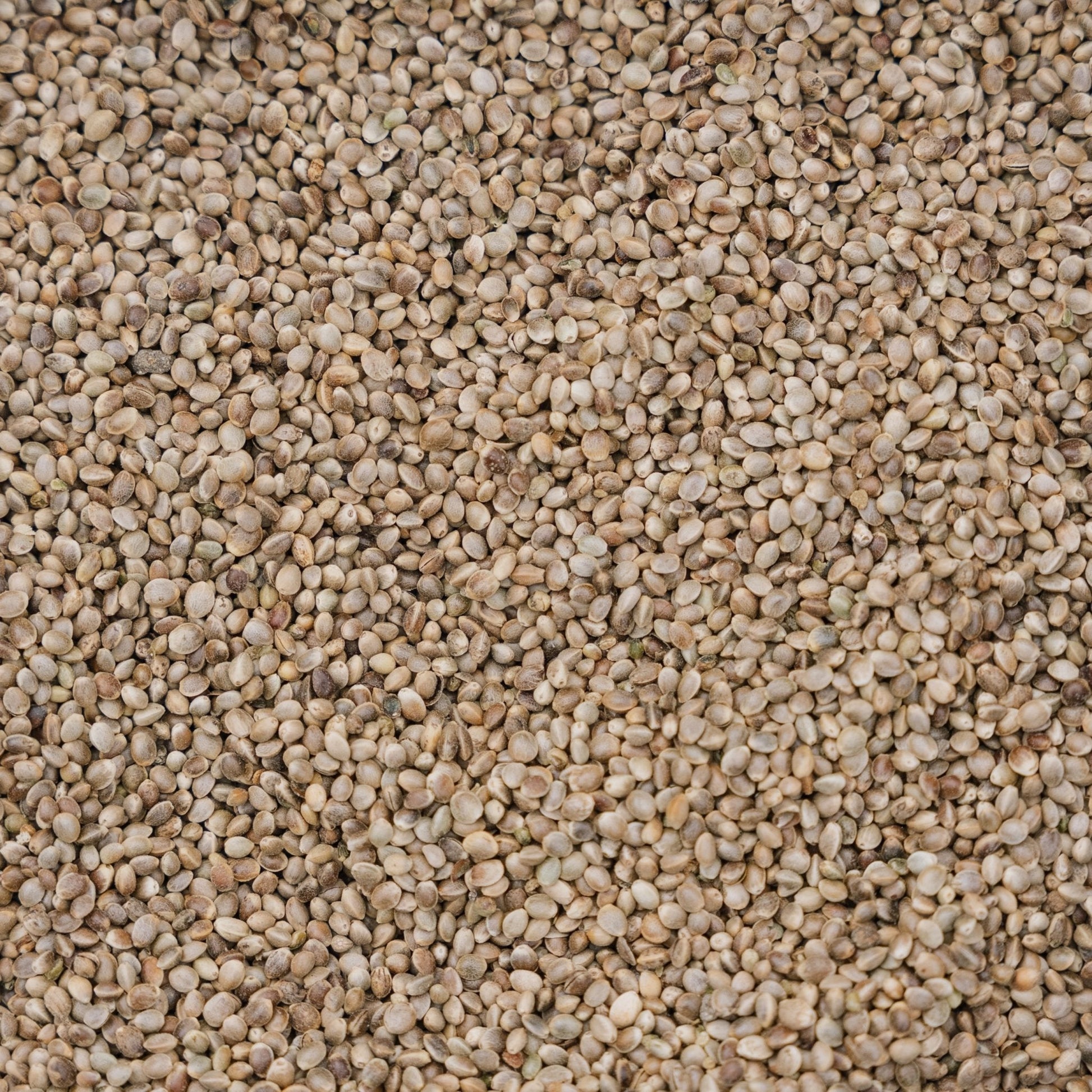 Fågelfoder, Hamp de Luxe, 5 L