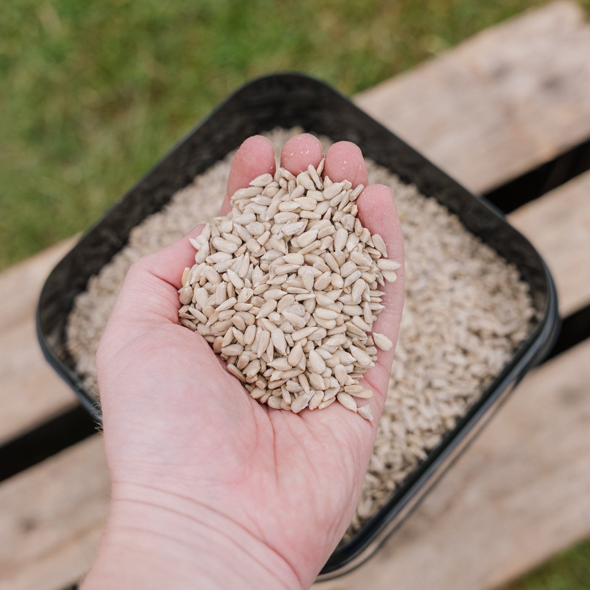 Fågelfoder, Solros de Luxe, 5 L