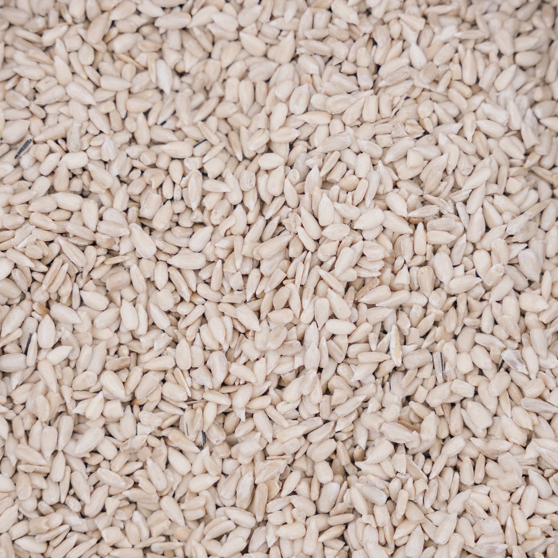 Fågelfoder, Solros de Luxe, 5 L