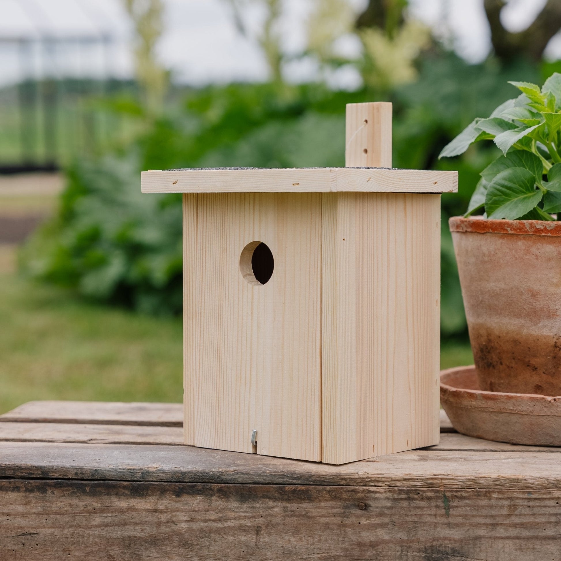 Fågelhus, natur, L: 19 cm B: 19 cm H: 22 cm