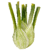 Grönsaksfrön