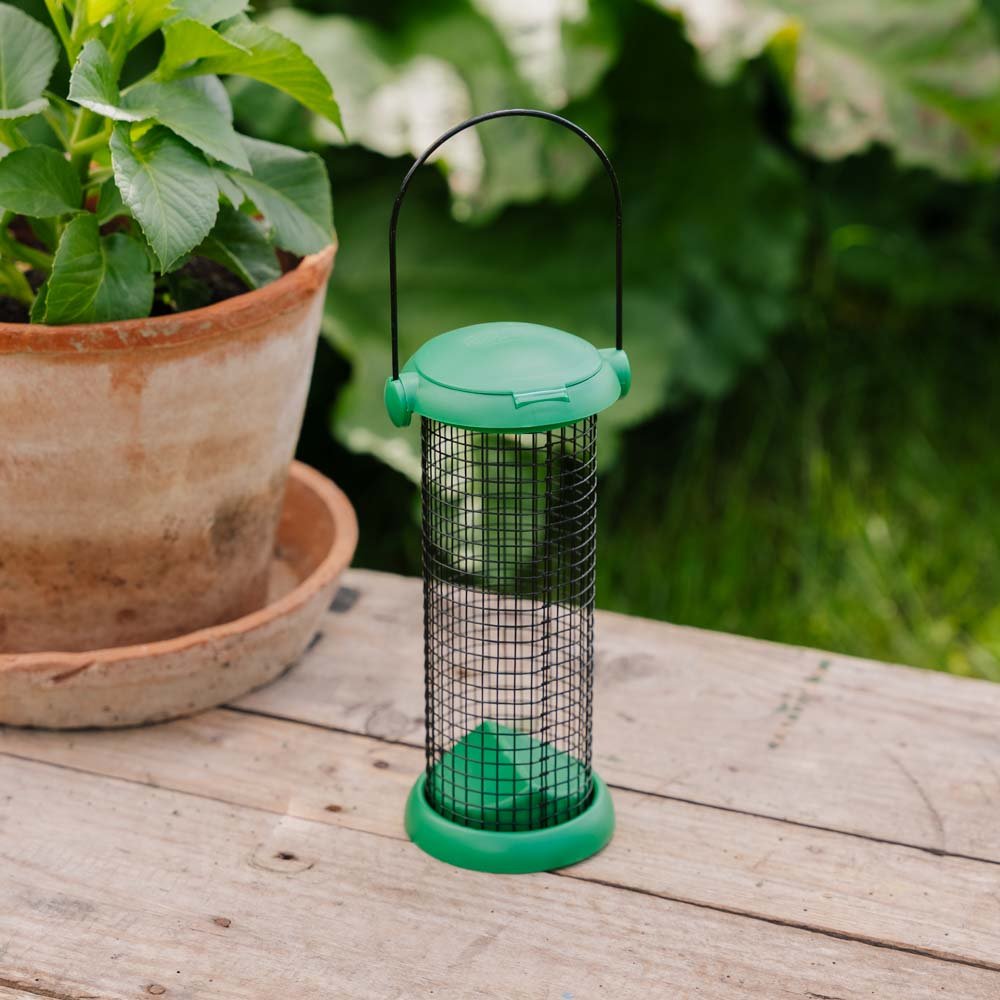 Flip‒Top peanutsfoderautomat, H20 cm