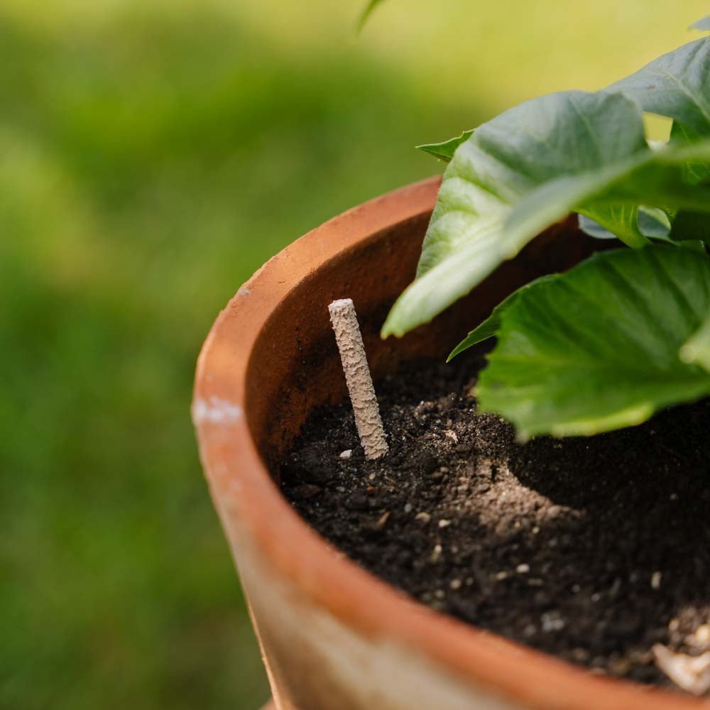 Gödselpinnar, Grön, BD 30 st.