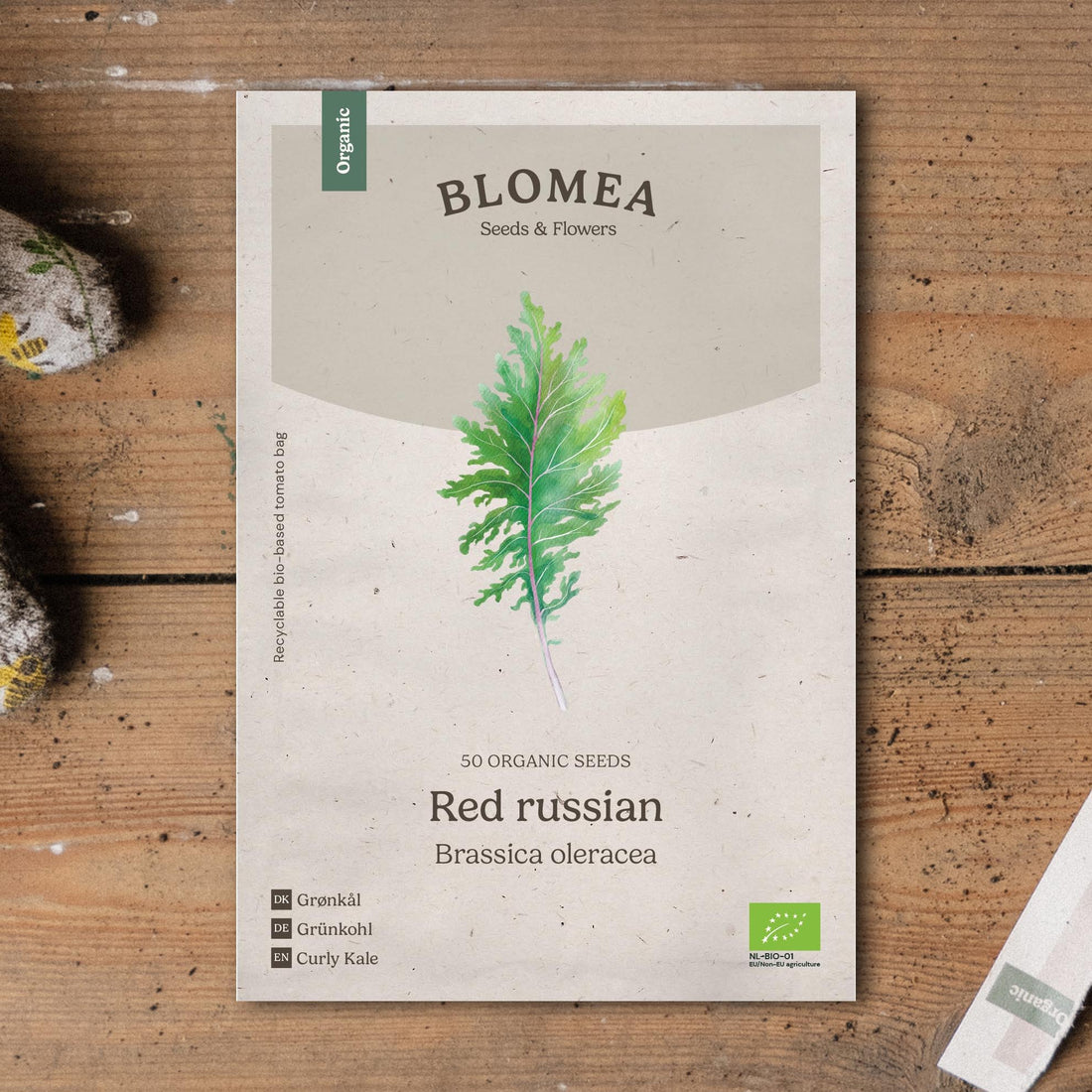 Grönkål frö 'Red Russian' - 50 Ekologiska Frön