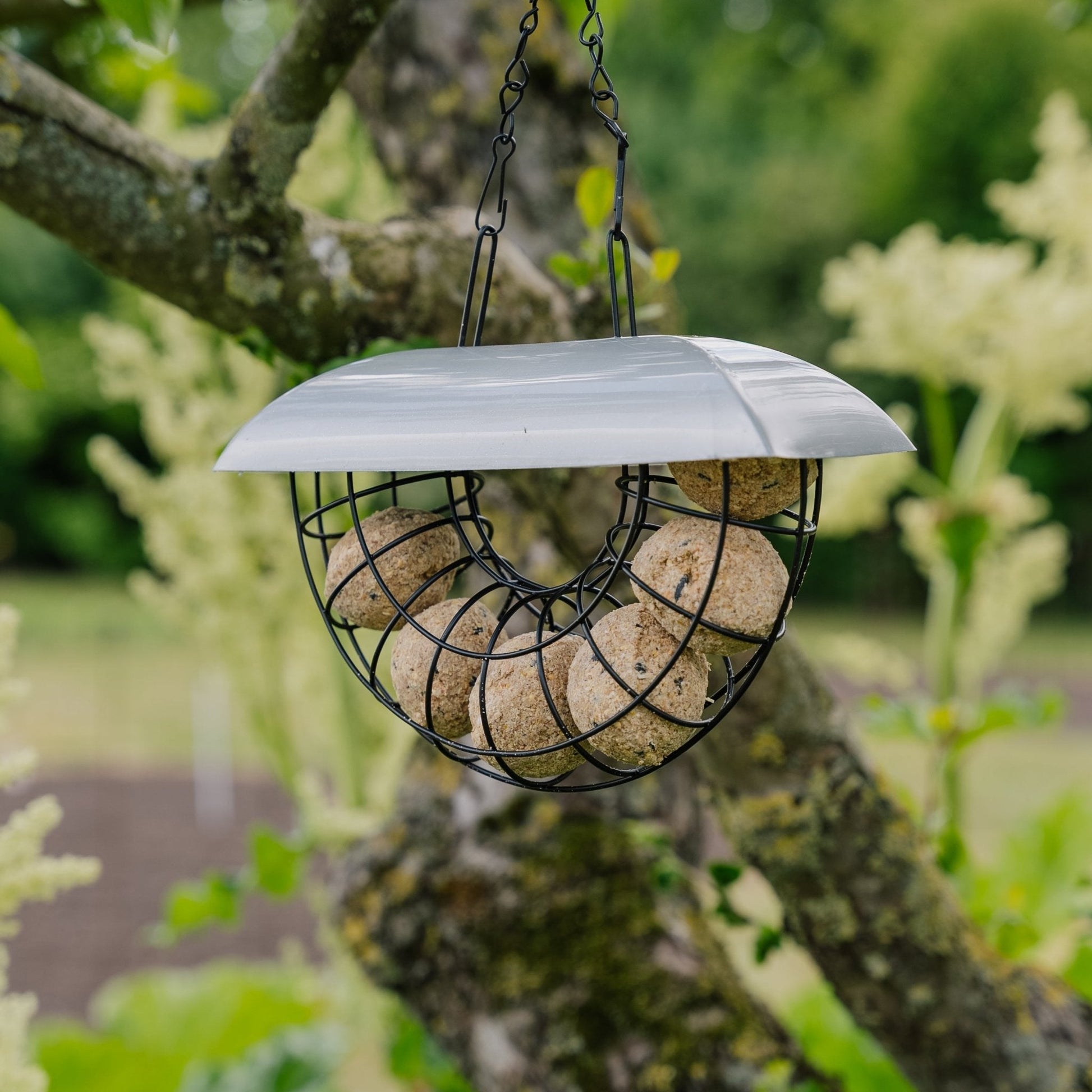 Halvmåne talgbollsautomat, inkl. 6 talgbollar