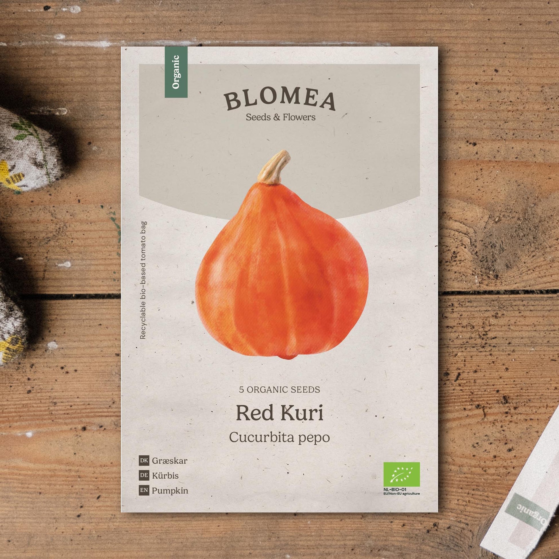 Hubbardpumpa frö 'Red Kuri' - 5 Ekologiska Frön