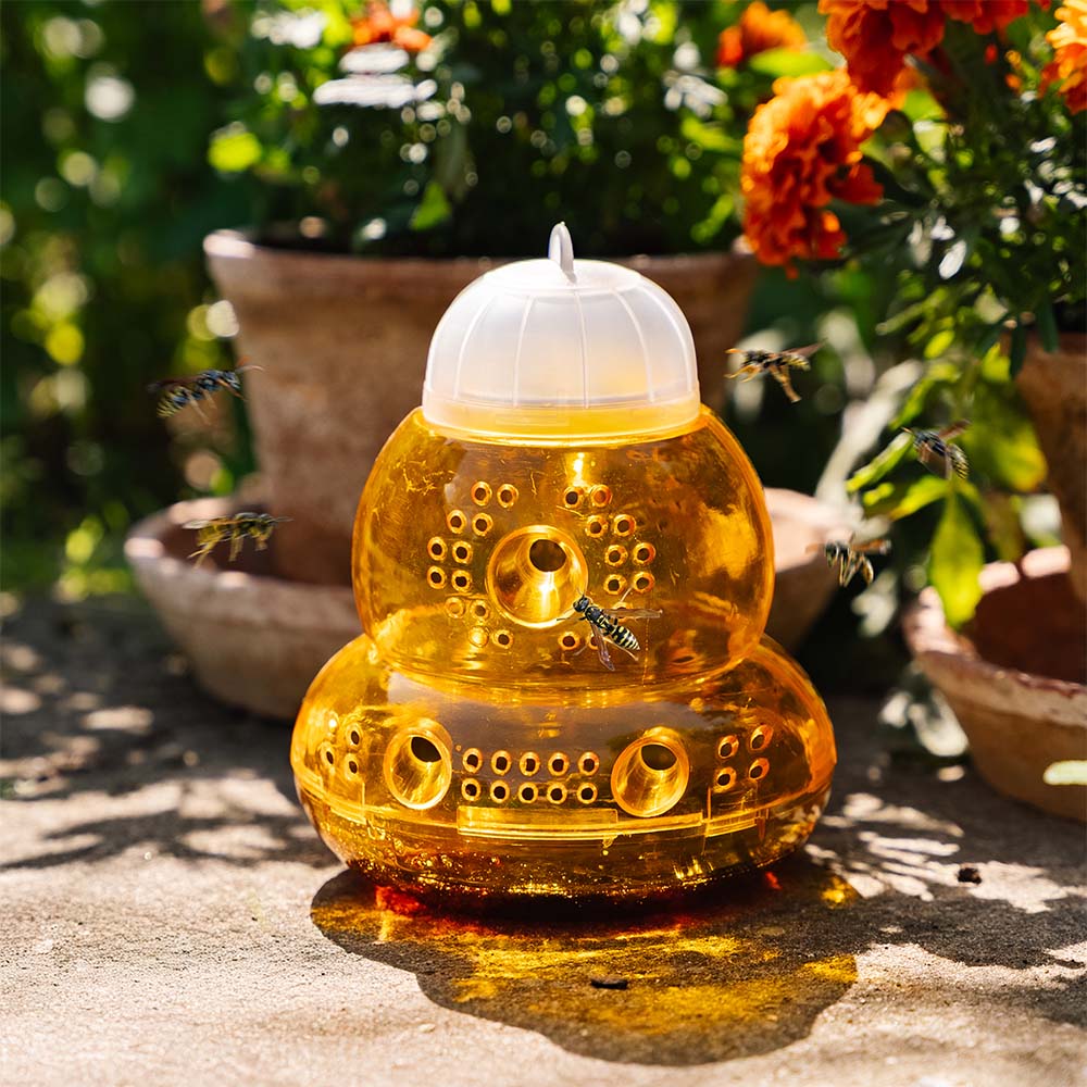 Hvepsefælden, 2 pak