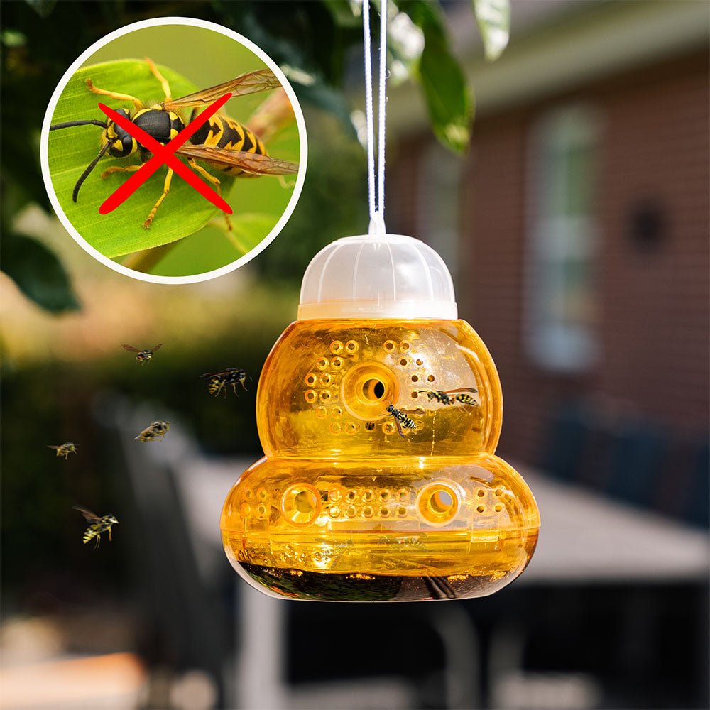 Hvepsefælden, 2 pak