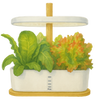 Hydroponisk odling