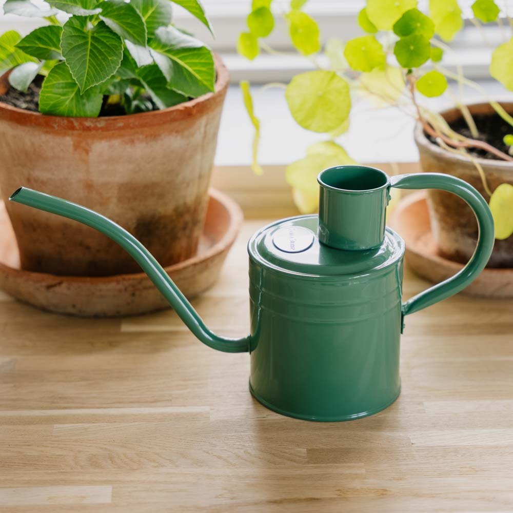 Indendørs metalvandkande, 1 L, salviegrøn