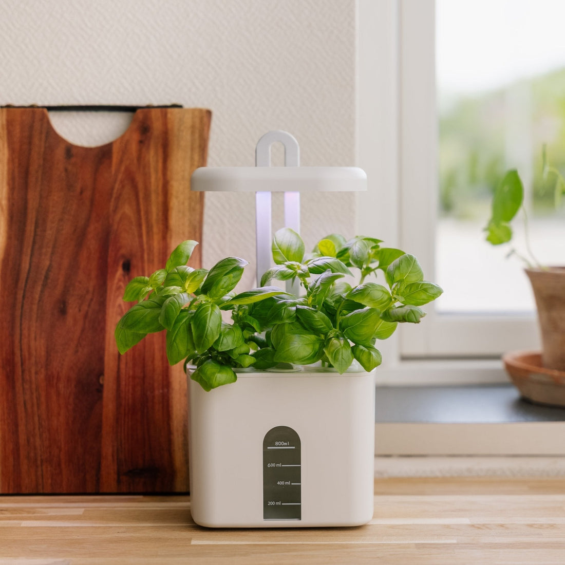 Inomhus köksträdgård, liten