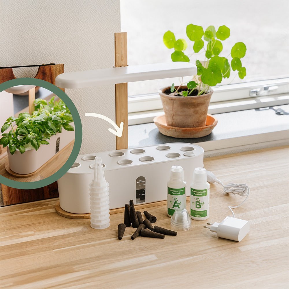 Inomhus köksträdgård, stor