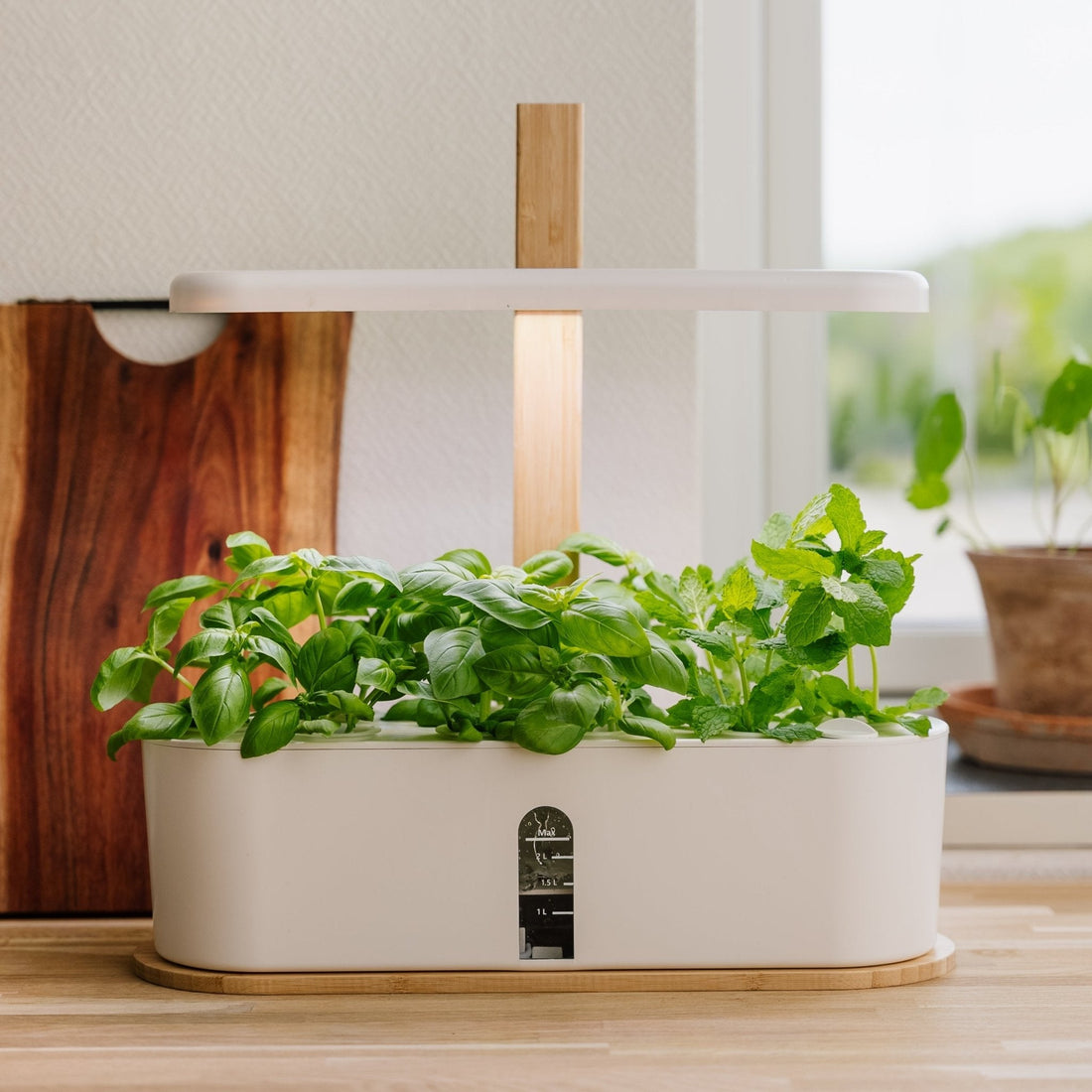 Inomhus köksträdgård, stor