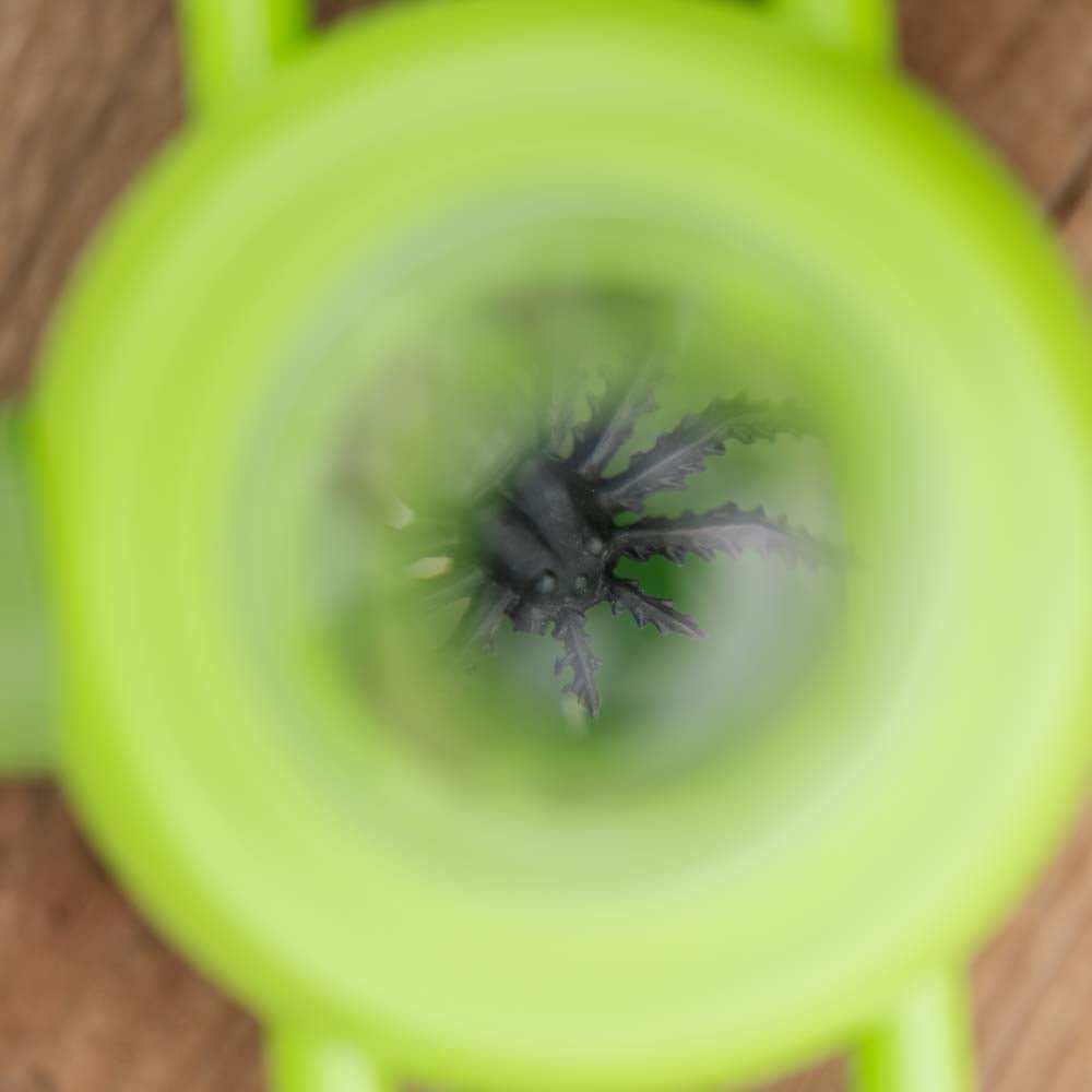 Insektboks til børn