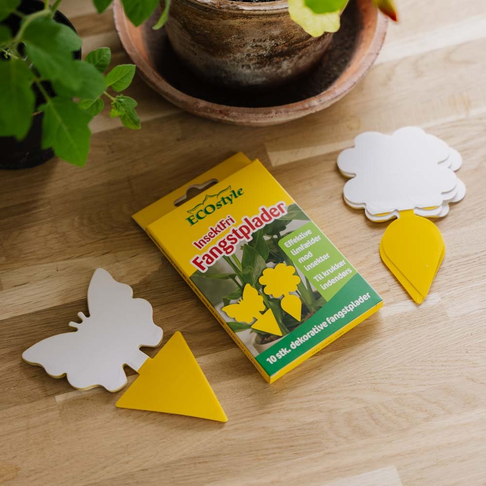 InsektFri Fångstplattor med motiv, 10 st.