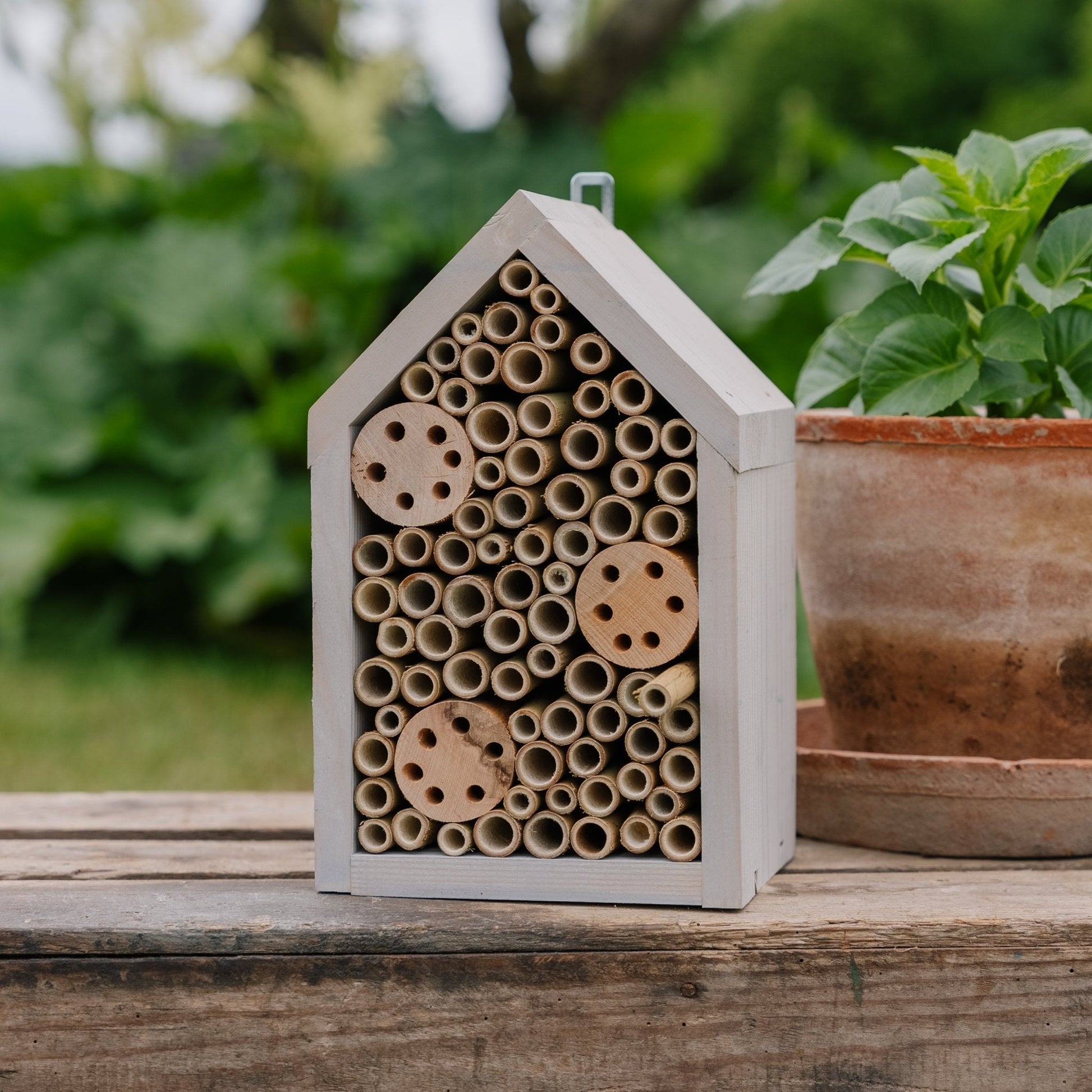 Insekthotel, Pinewood