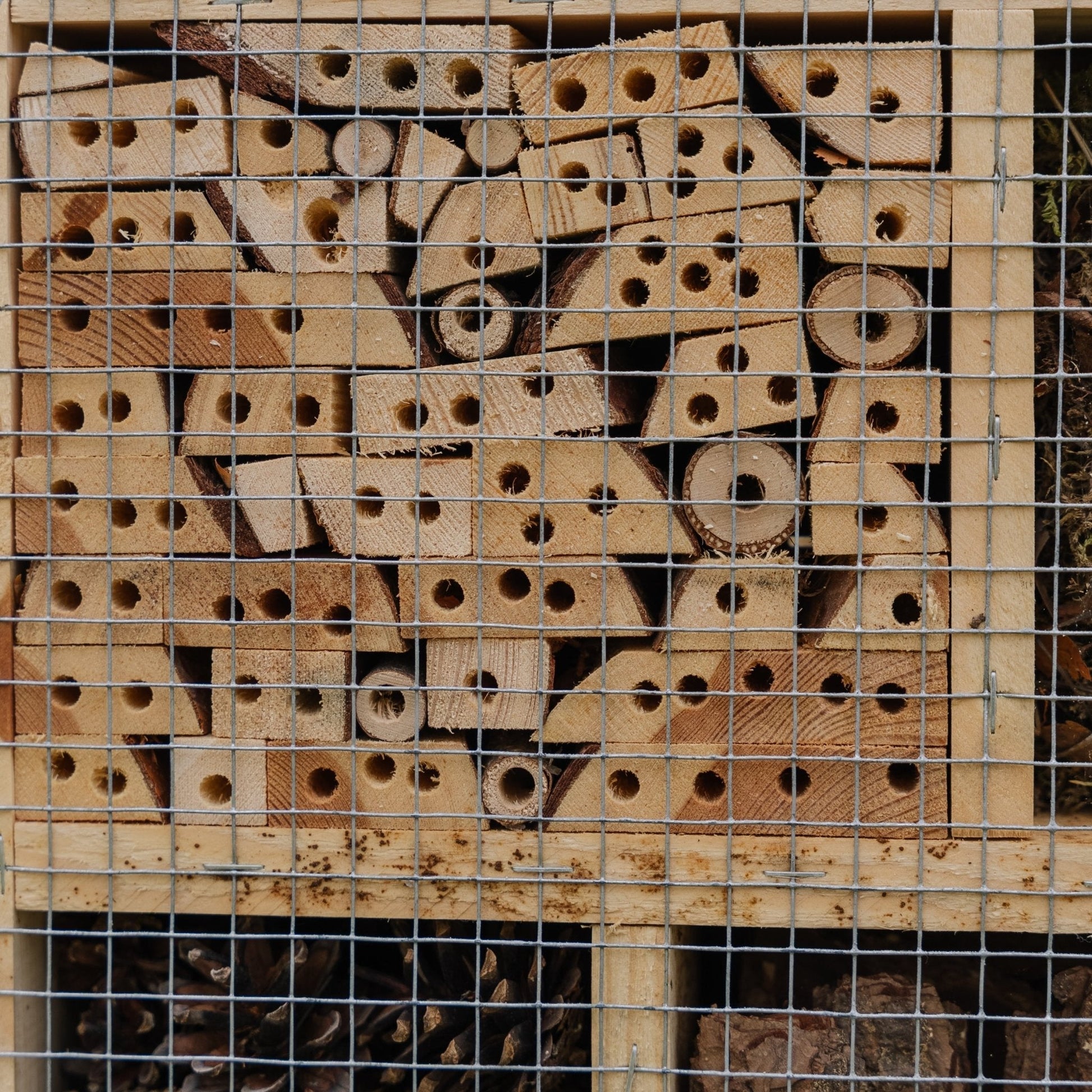 Insektshotell, natur, L: 12 cm B: 38 cm H: 43 cm