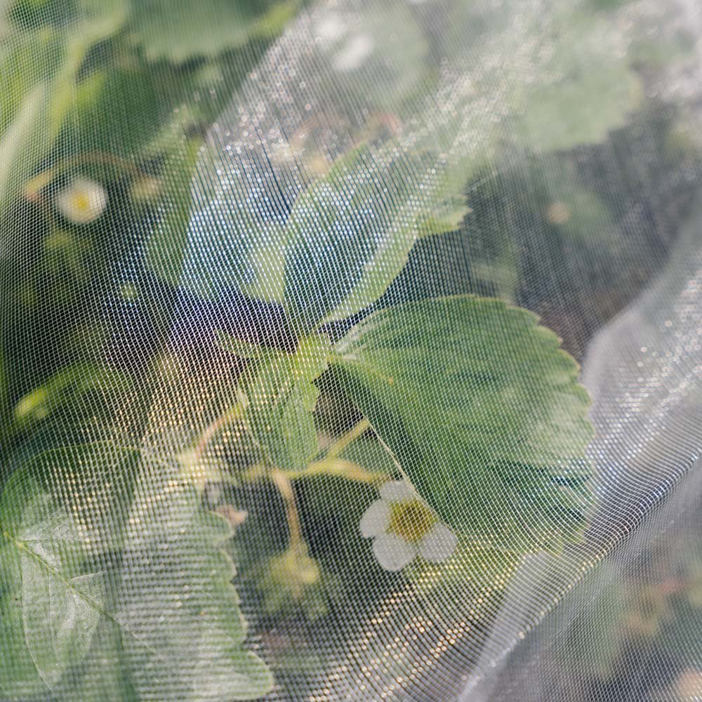 Insektnet, 4x5 m