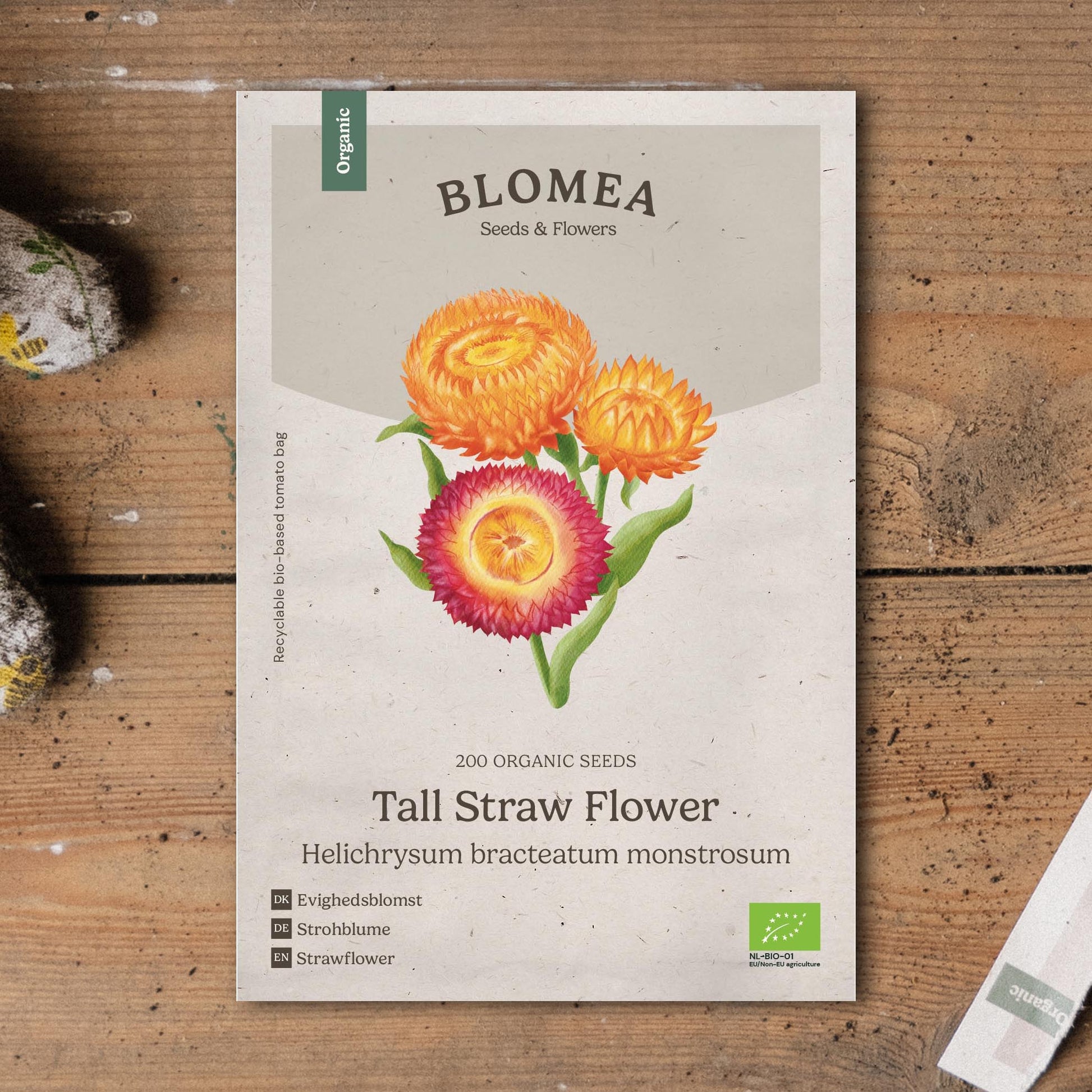 Jätteeternell frö 'Tall Straw Flower' - 200 Ekologiska Frön