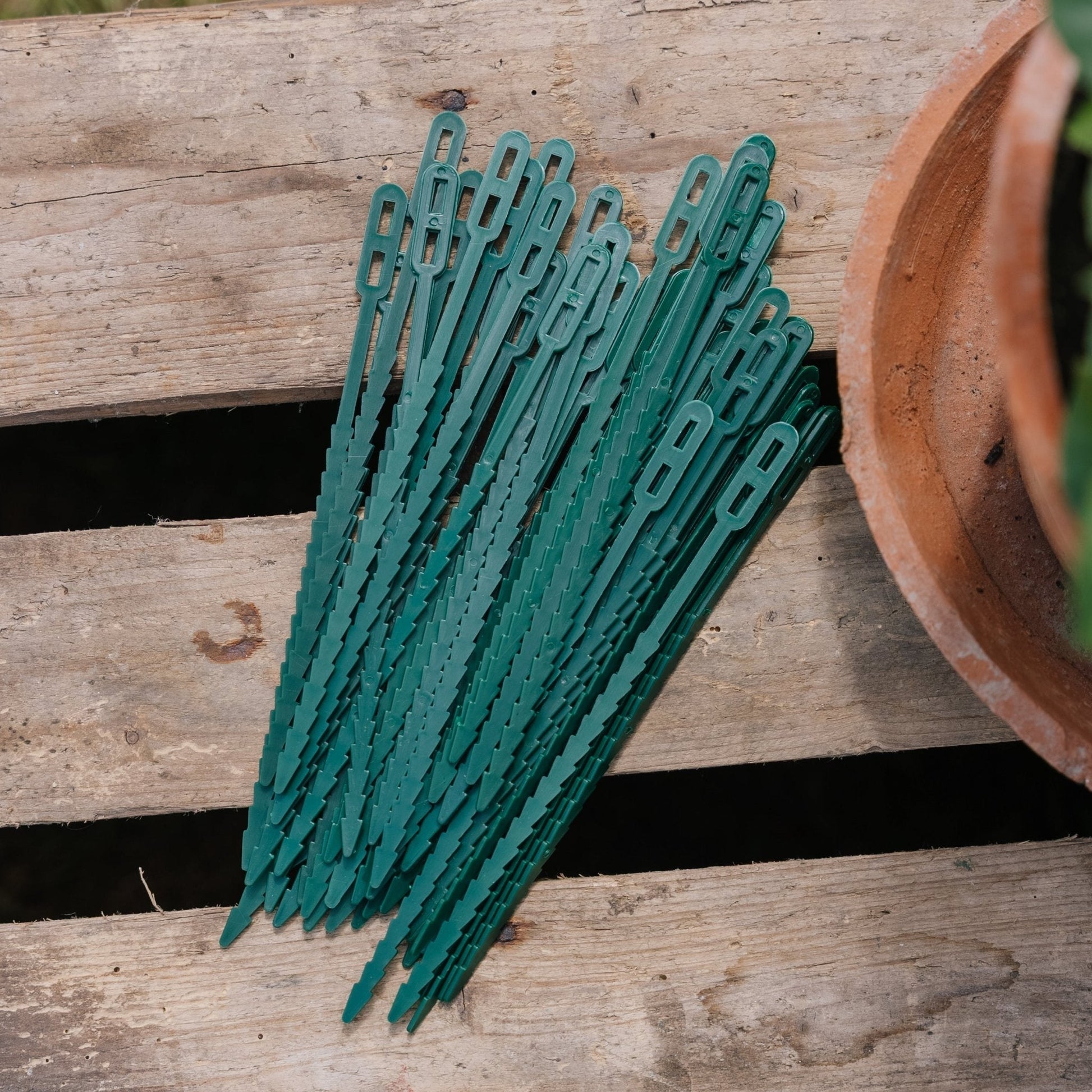 Justerbara växtband, 50 st.